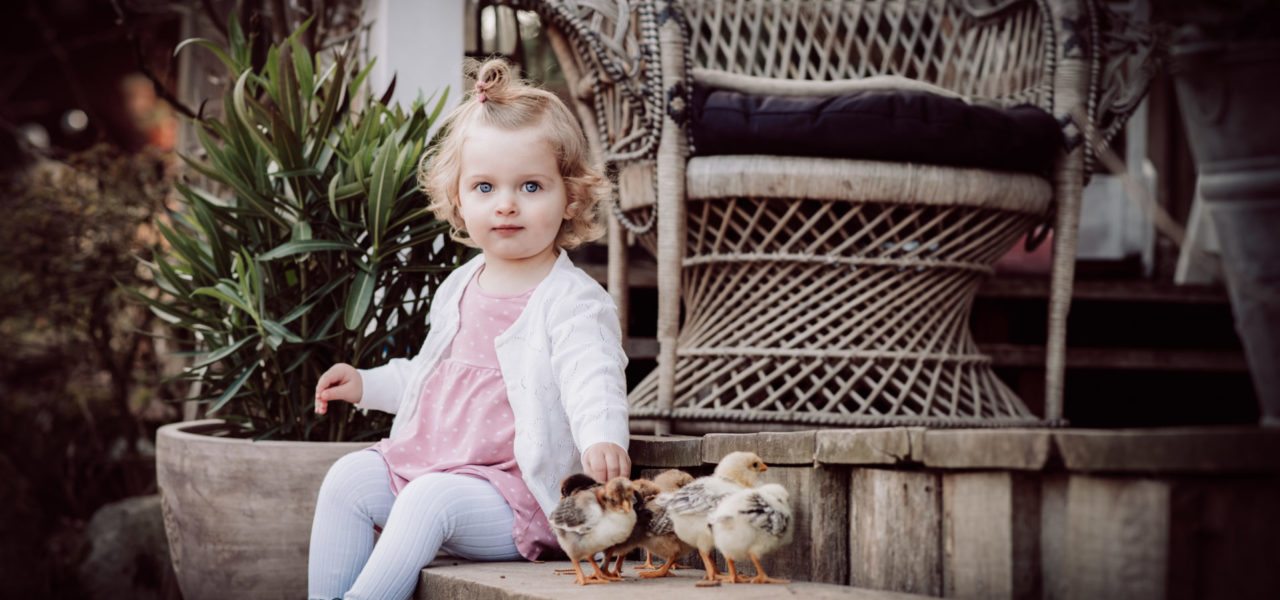 children and the little chicks